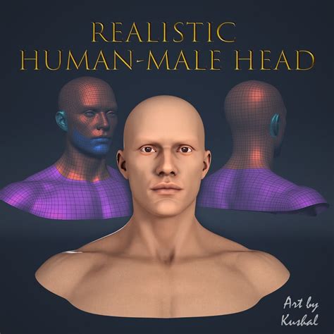 Realistic Human Male Head 3d Asset Low Poly Cgtrader