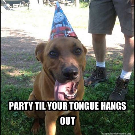 101 Funny Happy Birthday Dog Memes For Paw Lovers
