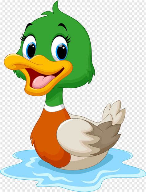 Duck Clipart Cartoon Duck Swimming Transparent Png 762x1001