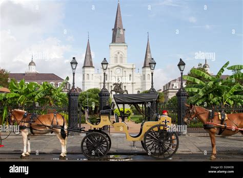 La New Orleans French Quarter Jackson Square Horse And Carriage