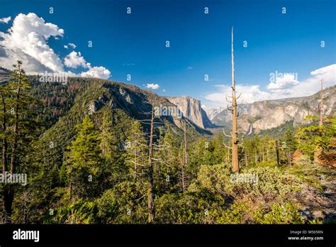 Yosemite National Park Valley Summer Landscape Stock Photo Alamy