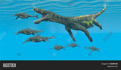 Triassic Marine Animals