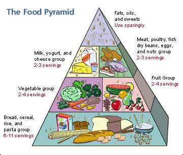 Food Pyramid Imagine Ministries