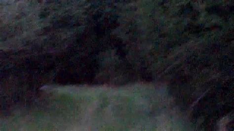 Bigfoot Sighting In West Virginia Part 2 Youtube
