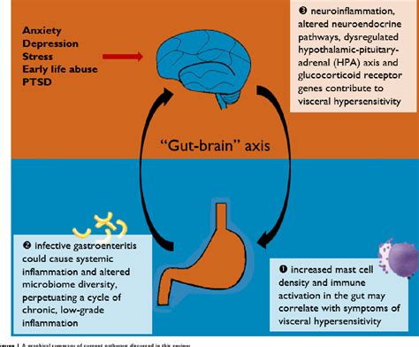 Figure 1 From The Role Of Inflammation In Irritable Bowel Syndrome Ibs