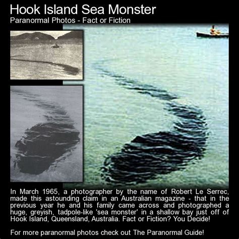 Hook Island Sea Monster Fact Or Fiction Le Serrec Then Apparently