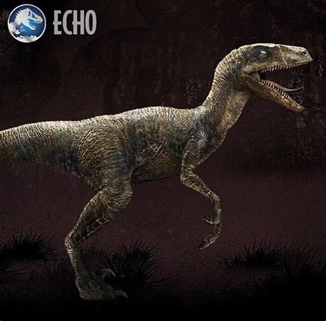 Image Echo Wikia Jurassic Park Fandom Powered By Wikia
