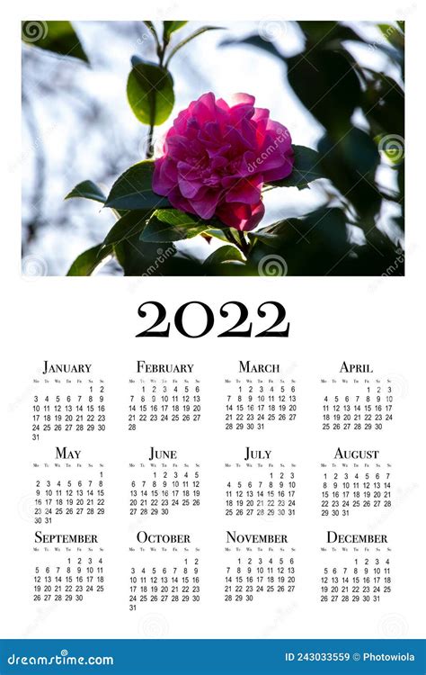 Botanical Calendar For 2022 Vertical Wall Calendar For 2022 Stock