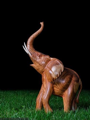 African Elephant Hand Carved Wooden Elephant Made In Burki Flickr