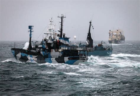 Japanese Whaling Vessel Protest Ship Collide Off Antarctic Coast Ctv
