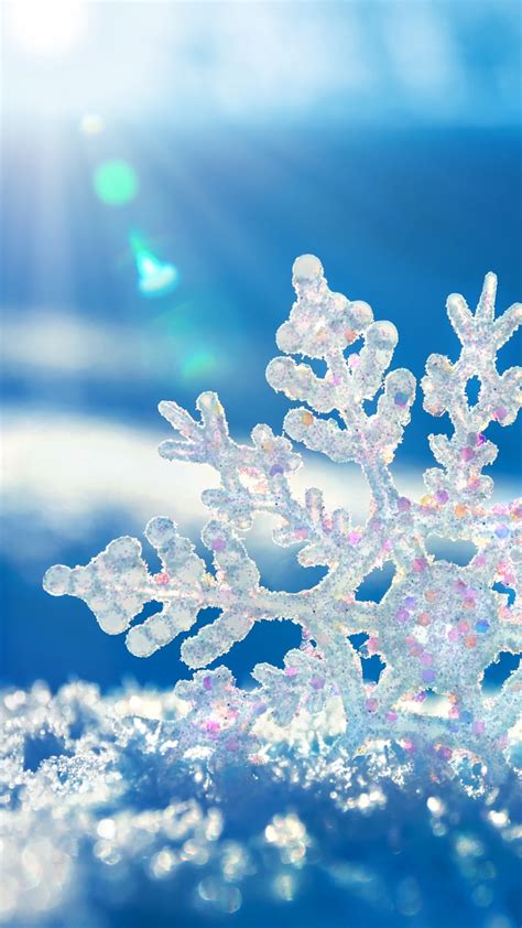Free Download Winter Backgrounds Download 3840x2400 For Your Desktop