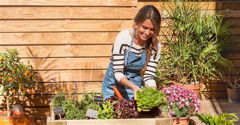 Beneficios Que Aporta La Jardinería A Tu Salud