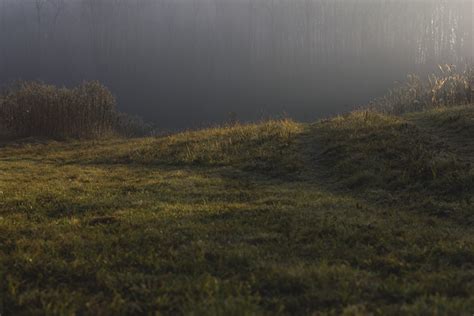 Free Images Landscape Tree Nature Forest Path Grass Marsh