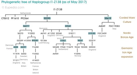 Phylogenetic Tree Of Haplogroup I1 Z138 Y Dna Eupedia Phylogenetic Tree Dna Genealogy
