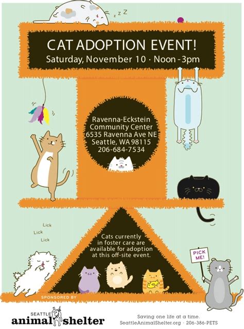 Recc Hosting Seattle Animal Shelter Cat Adoption Event This Saturday
