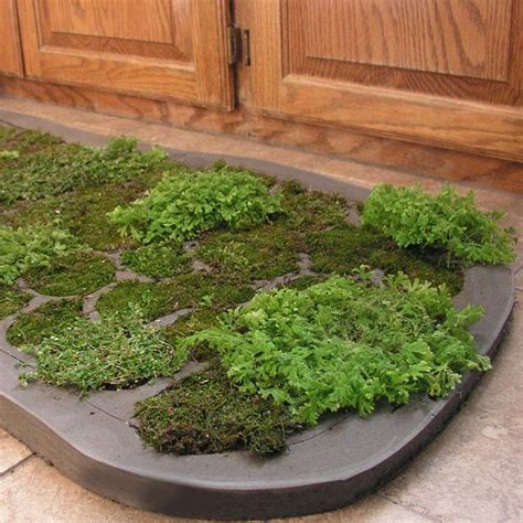 When it comes to the average bath mat, people often go for something soft and made of fabric. How to Make a Moss Shower Mat | Indoor garden, Moss bath mats, Shower floor