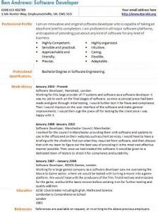 Filled with detailed examples for each section, tips for. Software Developer CV Example - Learnist.org