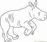Rhinoceros Coloringpages101 sketch template