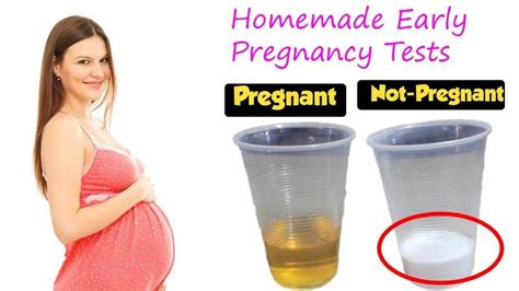 Homemade Early Pregnancy Tests Getting To Know You Are Pregnant