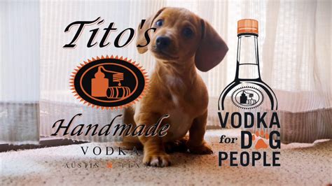 Titos Handmade Vodka For Dog People Announces Winter Story Summit