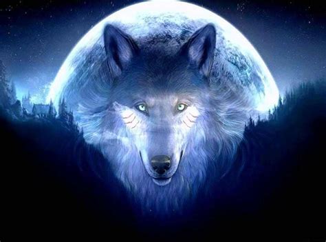 3d Hd Wallpapers Wolf Wolf Wallpaperspro