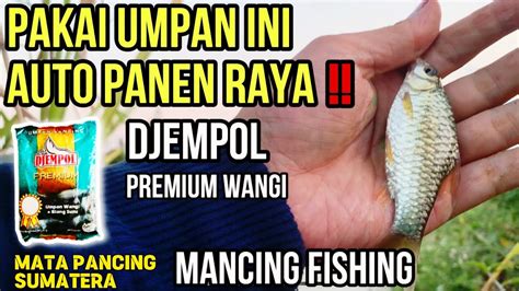 MANCING FISHING BABON WADER PAKAI UMPAN DJEMPOL PREMIUM HARUM PASTI