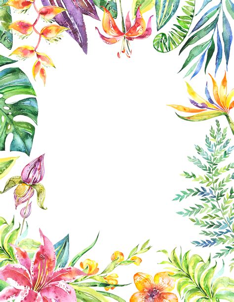 Tropical Leaf Border Png Rawpixel Flower Aum Zeichnung Hojitas Tropicales Florales Deckblatt