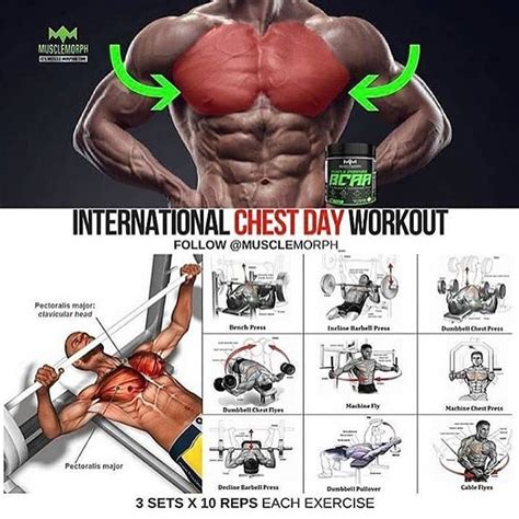 Correctnes Chest Exercises See More On Video Chest Day Workout