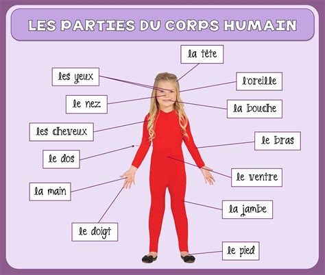 Notre Blog De Français Parties Du Corps Vocabulaire