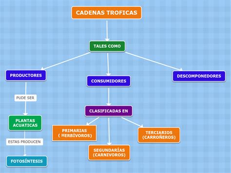 CADENAS TROFICAS Mind Map