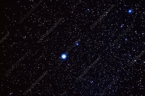 Constellation Of Canis Minor Stock Image R5500152 Science Photo
