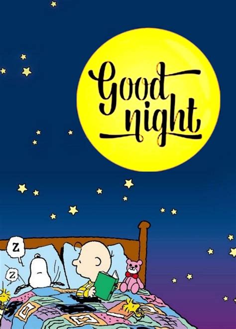 スヌーピー good night Goodnight snoopy Snoopy love Peanuts charlie