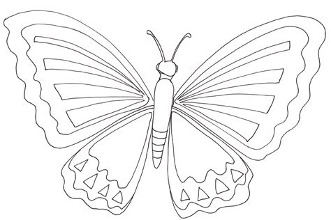 110 Dessins De Coloriage Papillon à Imprimer Sur Page 1