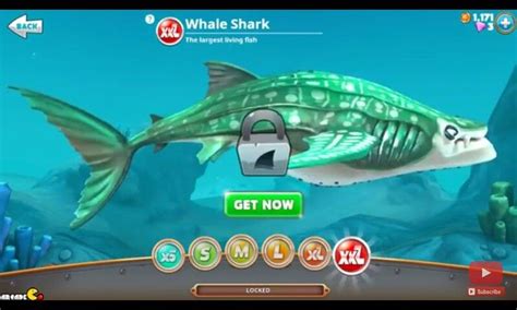 120,000 coins, other than sales, where it can drop to 90,000. The biggest fish in the sea, Whale shark from hungry shark ...