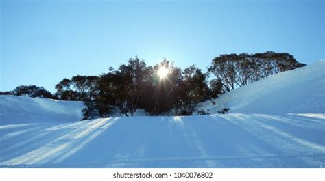 1598 Australian Snowy Mountains Images Stock Photos And Vectors