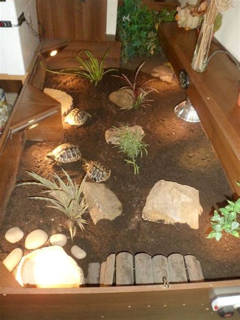 10 Beautiful Ideas Of Tortoise Crate Tail And Fur Tortoise