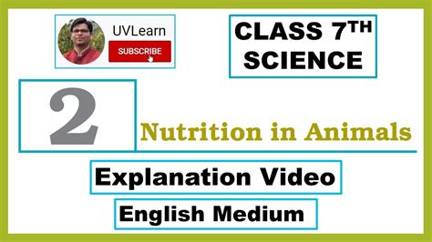 Class 7th Science Chapter 2 Nutrition In Animals English Medium