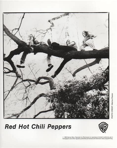 Picture Of Red Hot Chili Peppers