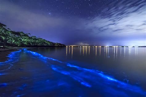 The Glowing Bioluminescent Mosquito Bay In Puerto Rico The Backpackers