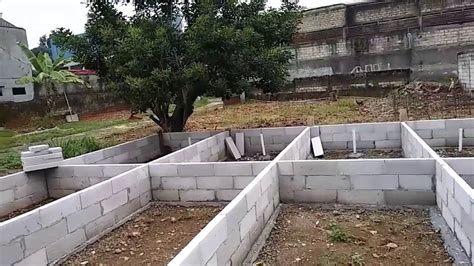 Tips dan Cara Budidaya Ikan Lele di Kolam Tembok