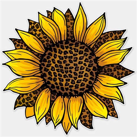 Sunflower Pictures Sunflower Wallpaper Yellow Sunflower Sunflower