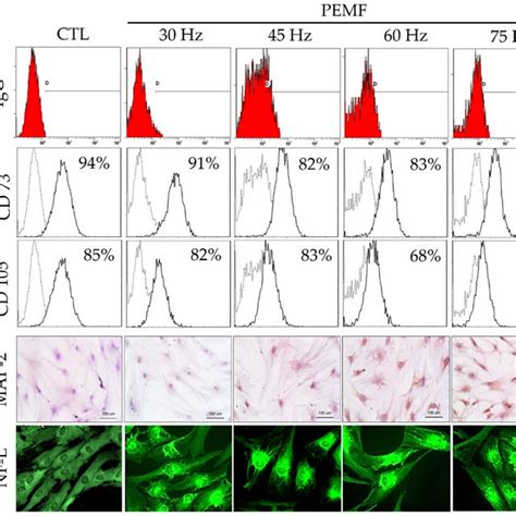 A Results Of Fluorescence Activated Cell Sorting Facs Analysis On