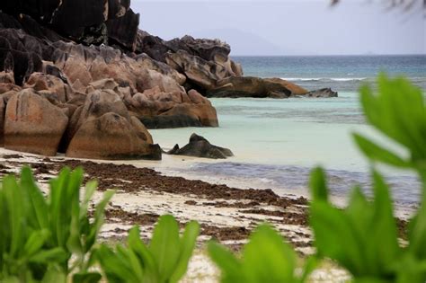 4 Jours Sur Lîle De Praslin Aux Seychelles Papatêteenbas