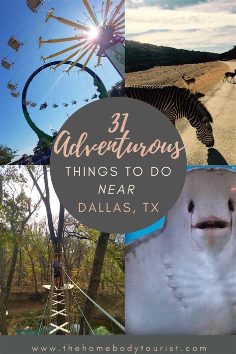 31 Things To Do Near Dallas Tx Adventurous Things To Do Couples