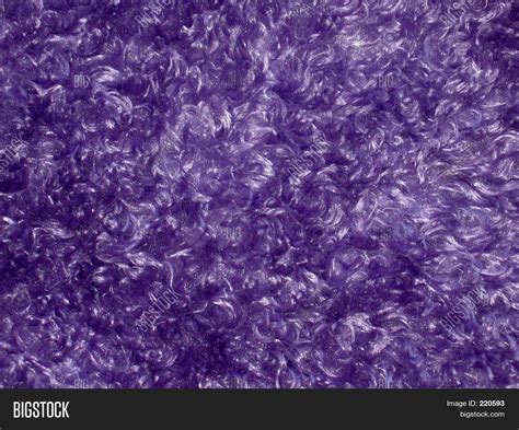 Purple Carpet Image And Photo Bigstock