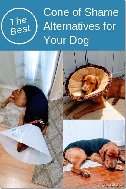 This is an easy and affordable diy project, which will be a little more comfortable for your dog than the typical cone of shame hard plastic collar. The Best Cone of Shame Alternatives for Dogs | Dog cone, Dog cone alternative, Dogs