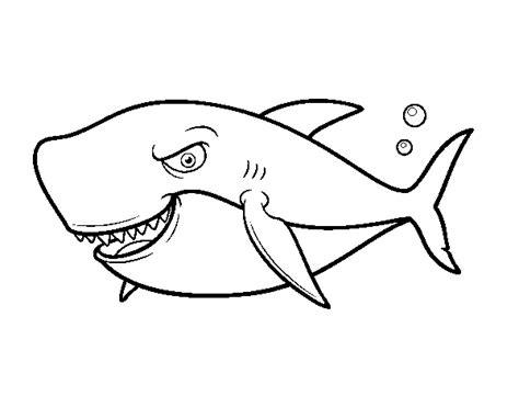 Tiburon para pintar y colorear Imagui