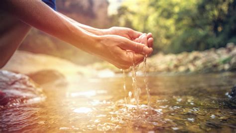 Where The Wood Meets Water My Jewish Learning