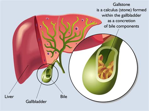 Gallbladder Channel