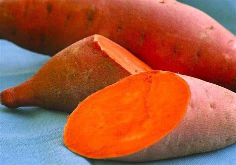 Orange Flesh Sweet Potatoes Improve Micronutrient Deficiency Among